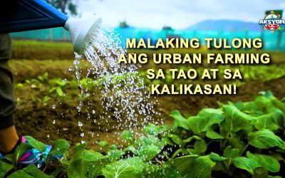 May JOY sa Urban Farming!